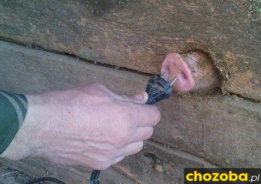 220 V