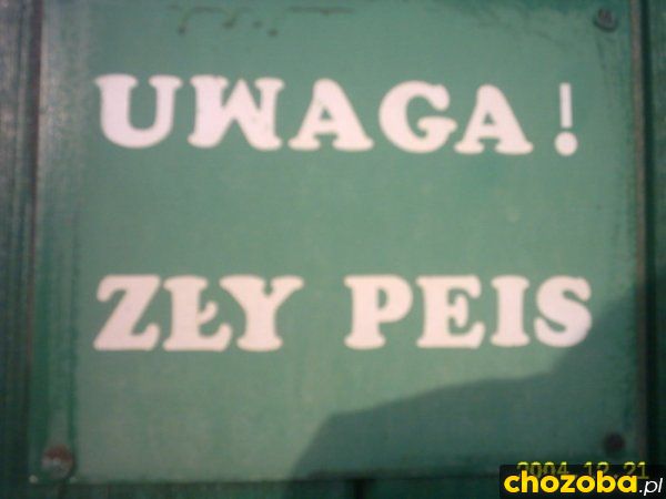 Zły peis