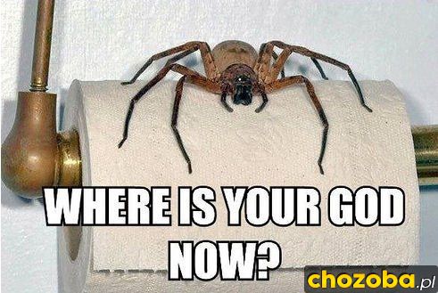Where is your god now?