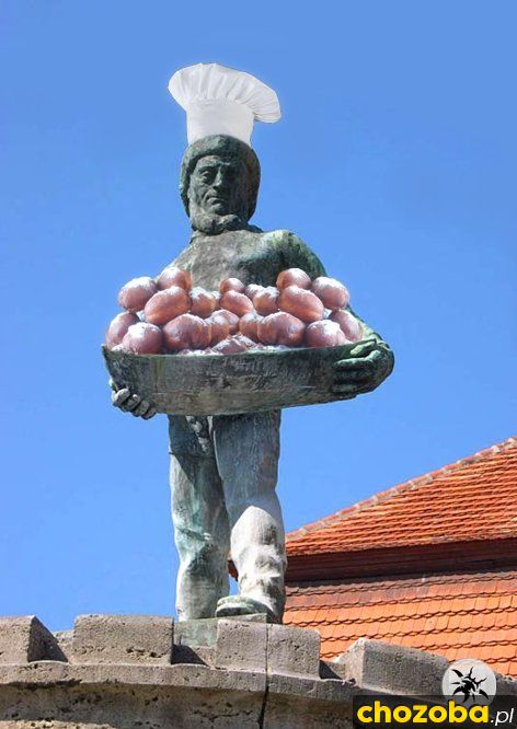 Facet z pączkami