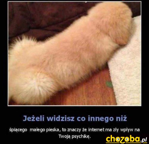 Co widzisz?