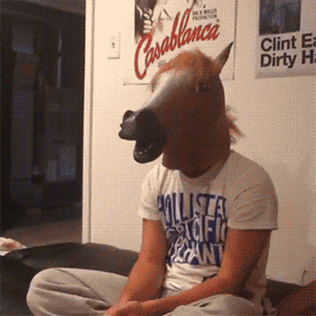 Horse gorilla