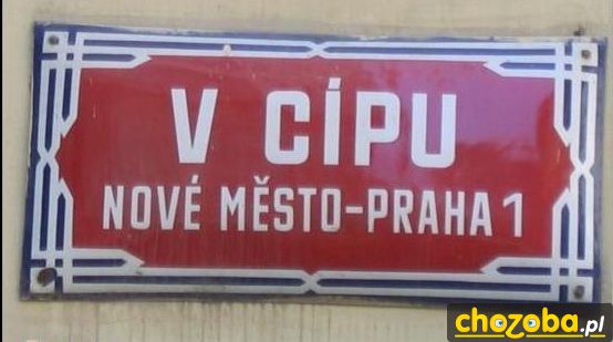 V Cipu