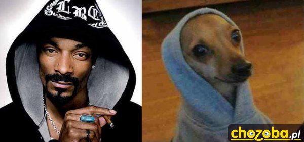 Snoop dogg