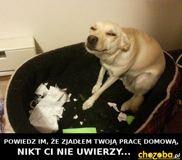 Praca domowa