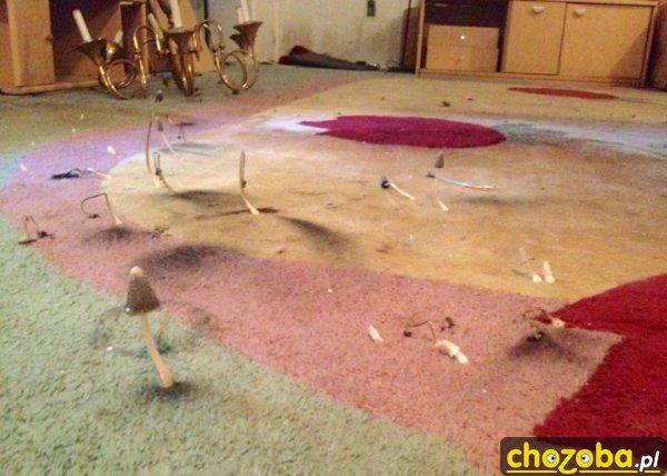 Gdy długo nie odkurzasz