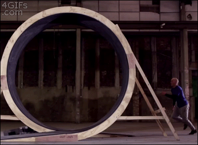 Prawie jak chomik