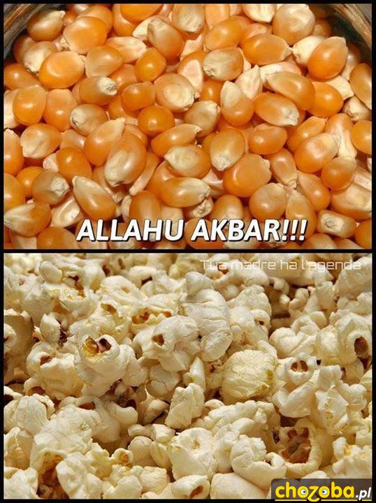 Popcorn Allah Akbar!!!