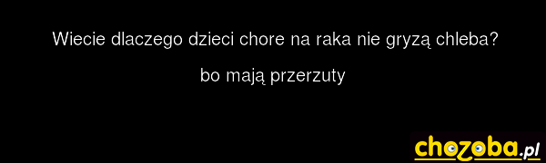 Chlebek
