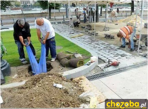 O pisiąt groszy!