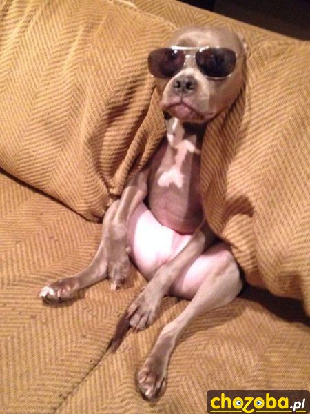 Yo man
