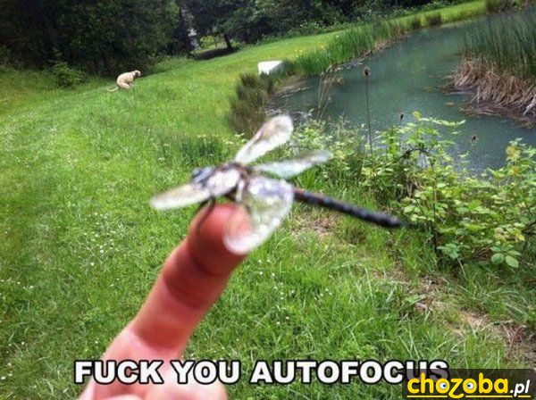 Autofocus