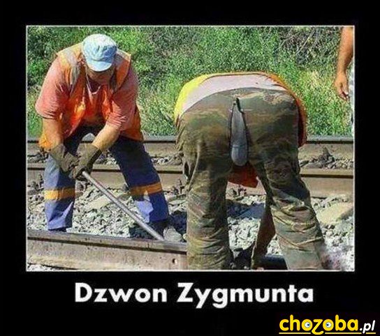 Dzwon Zygmunta
