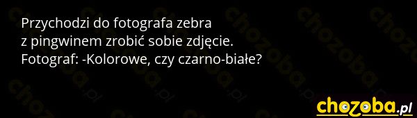 Zdjęcie