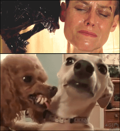 Alien dog
