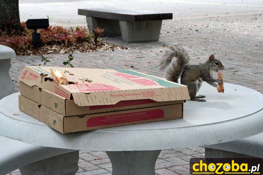 Mmm pizza!