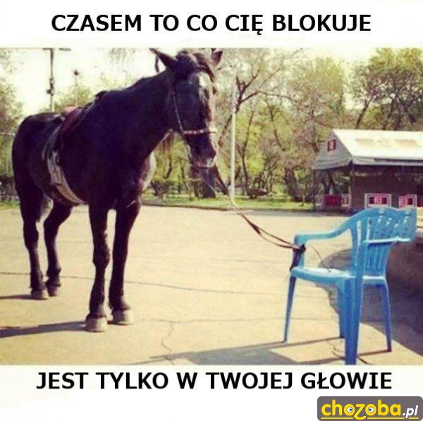 Stan umysłu