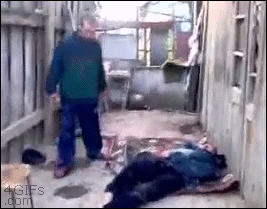 Pijacka karma