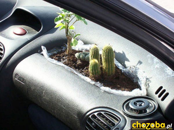 Ekologiczne auto