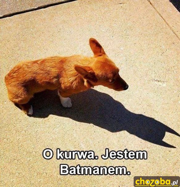 Jestem Batmanem!
