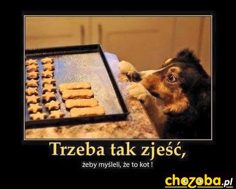 Jak zjeść