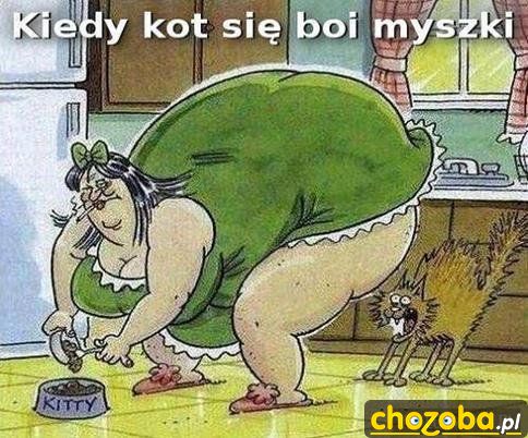 Kot się boi myszy