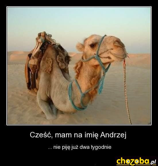 A Ty ile nie pijesz ?