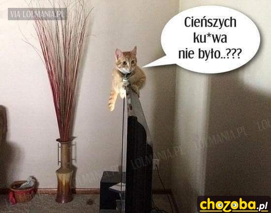 Siłą przyzwyczajenia