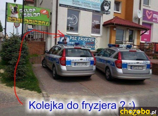 Psi fryzjer