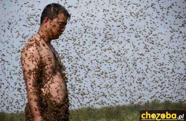 Ciekawe czy gryzą...