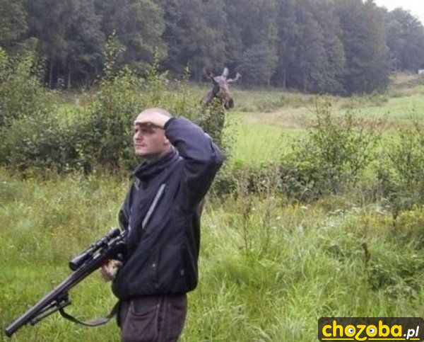 Gdzie ta zwierzyna?