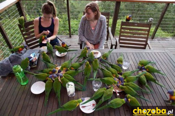 Lunch time