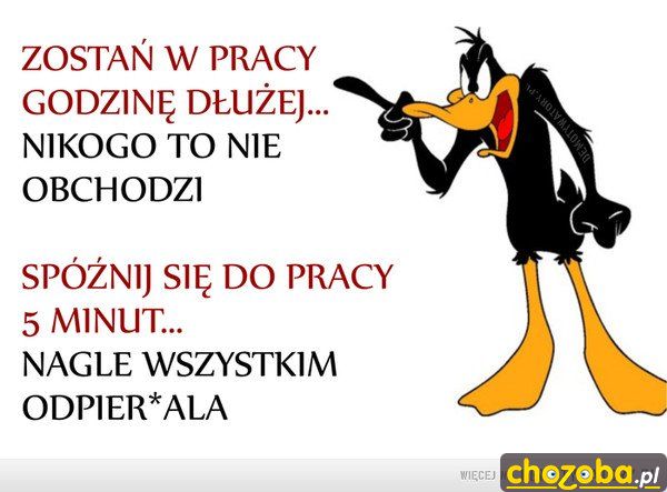 Tęsknią po nocy ? 