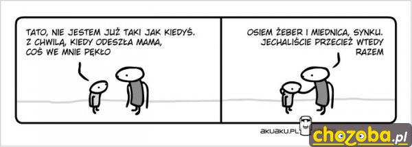 Osiem żeber i miednica