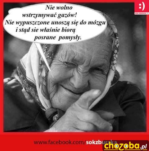 Gazy a pomysły
