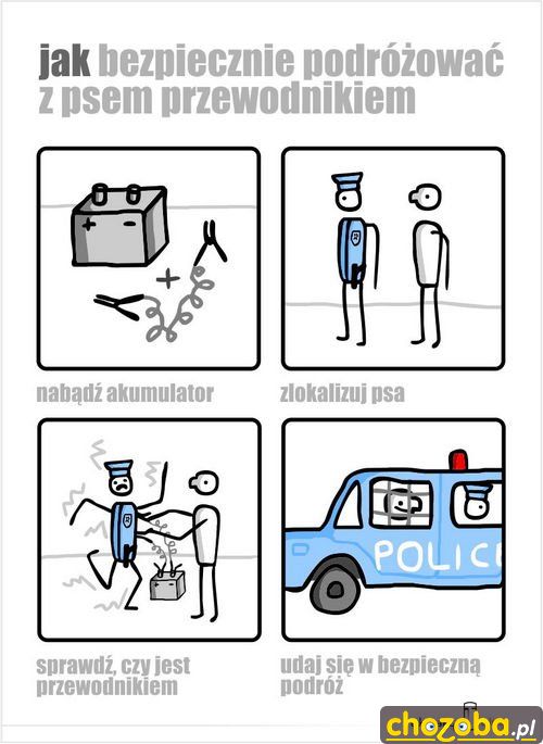 Pies przewodnik