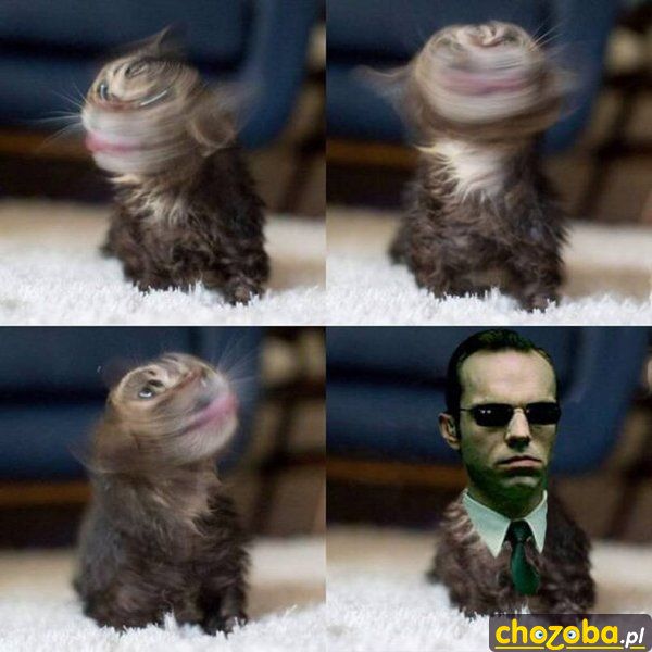 Pamiętacie?
