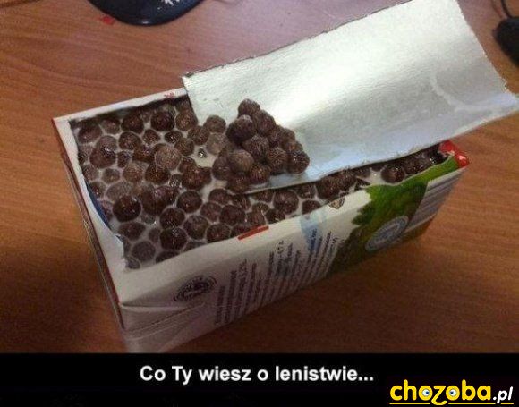 Co ty wiesz o lenistwie