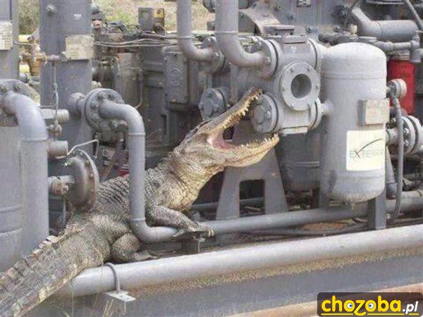 Gdy brakuje hydraulika