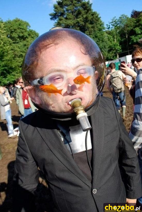 Świr z rybkami na spacerze