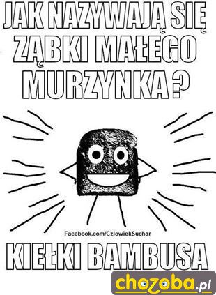 Kiełki bambusa