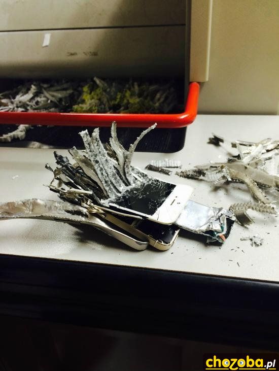 Iphone z niszczarki