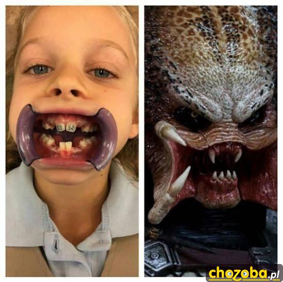 Predator