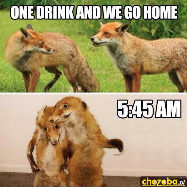 1 drink i idziemy do domu