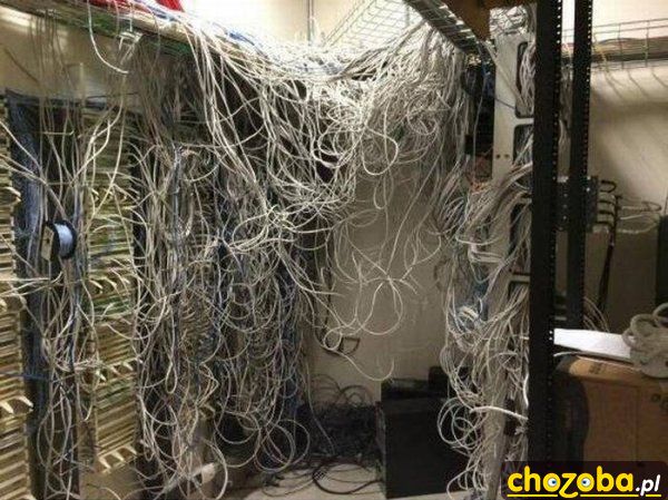Sieciowe spaghetti