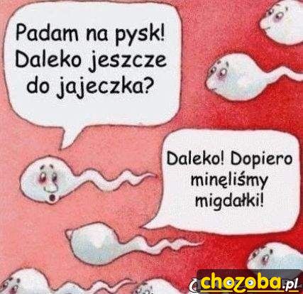 Daleko jeszcze?