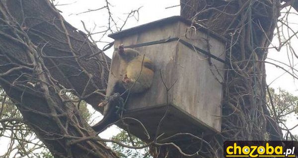 Kto zrobił takie ciasne przejście?!