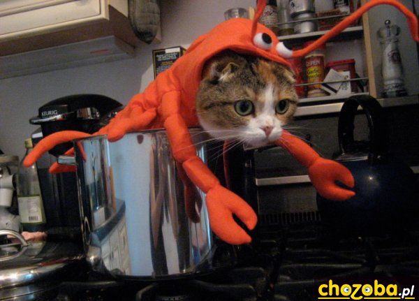 Krabik