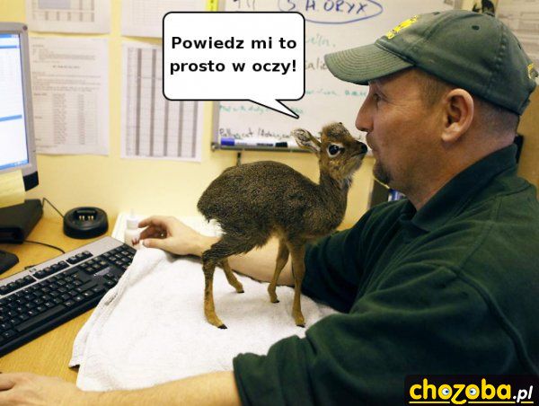 No powiedz