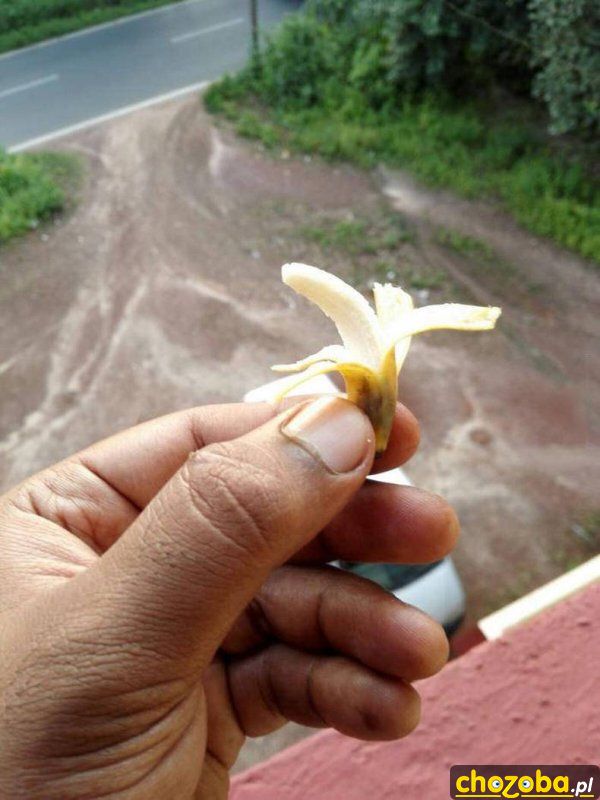 Mikro banan